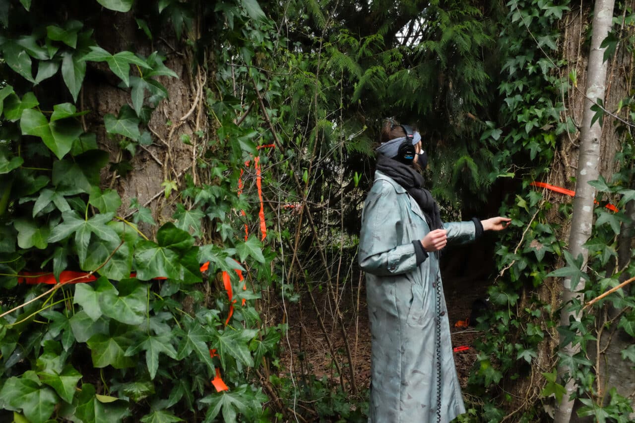 A person wearing headphones and a long coat stands in a forested area, touching a tree branch. They are surrounded by ivy-covered trunks and orange survey tape tied around branches and trees.