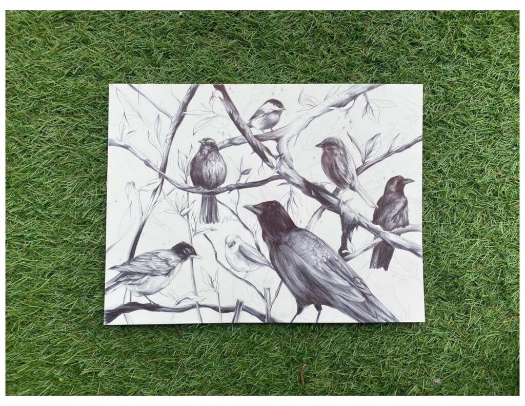A black-and-white drawing of seven birds perched on branches. The species vary in size, including a large crow in the foreground and smaller songbirds surrounding it. The artwork rests on a background of green grass.