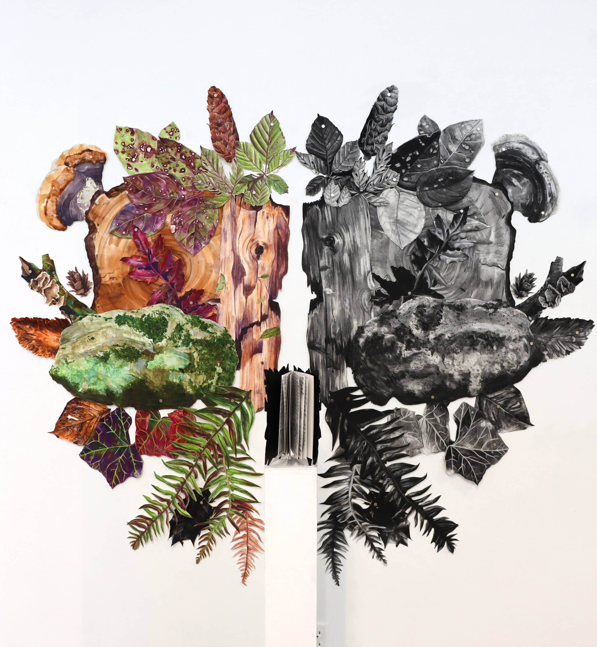 Collaged watercolour cut-outs of logs, fungi, and leaves form a mirrored composition on the wall. The left side is in full colour with green, red, and brown foliage, while the right side is rendered in black and white, creating a visual contrast of life and decay.