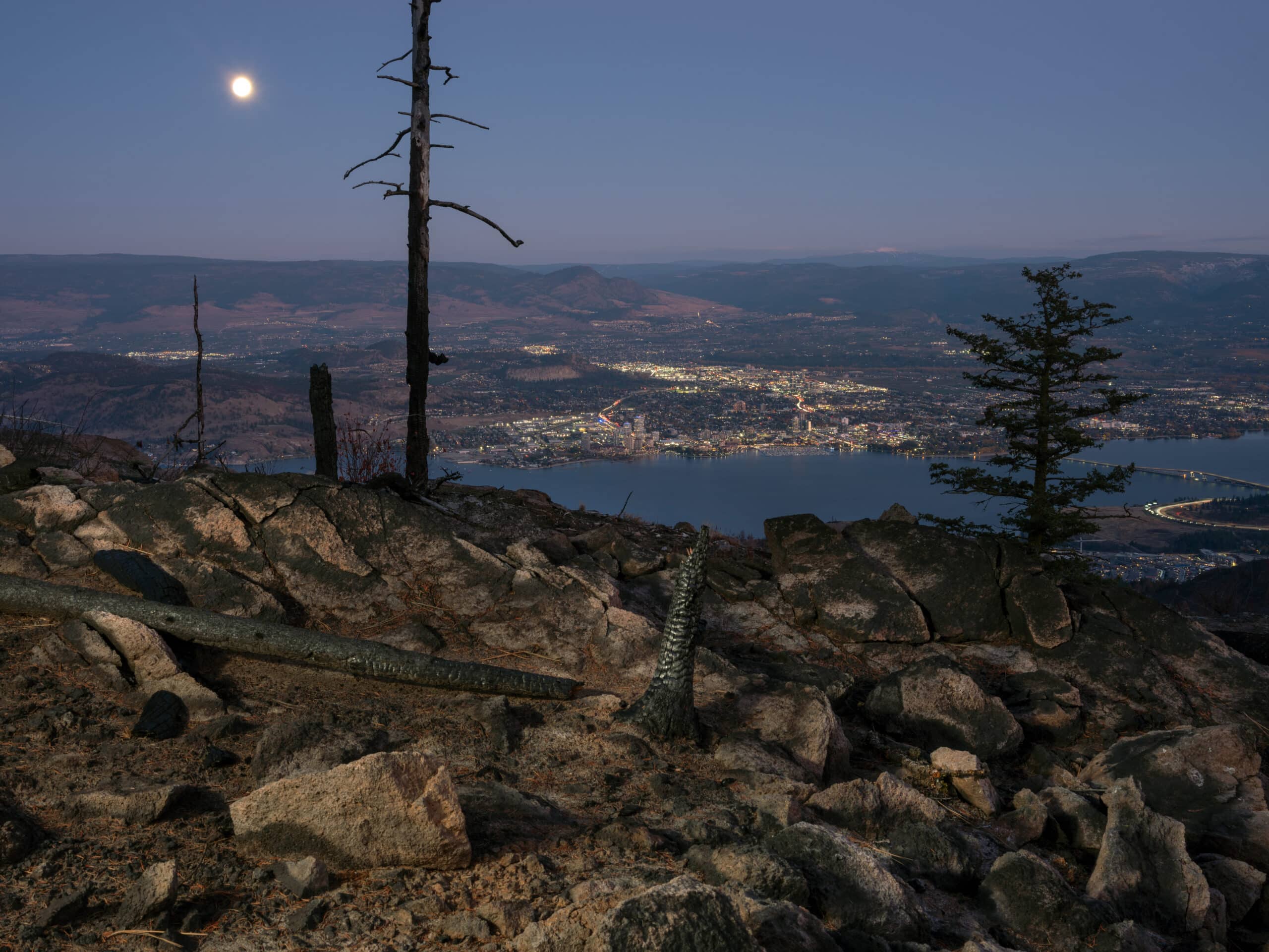 Moonlit view of a city and lake seen from a rocky, burned mountaintop with charred trees.