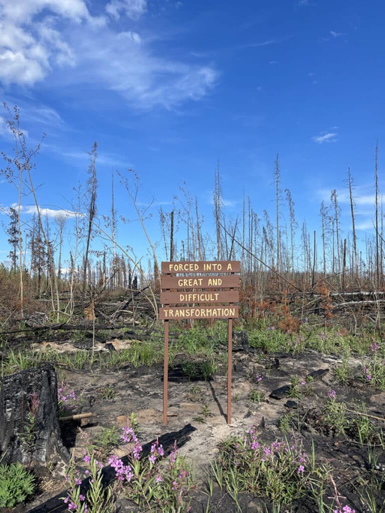 Wooden sign in a burned forest clearing reads “Forced into a great and difficult transformation,” surrounded by new green growth and wildflowers.