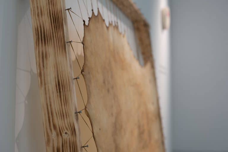 Close-up of a stretched animal hide or raw material mounted on a wooden frame, secured with nails and wire, displayed in a gallery setting.
