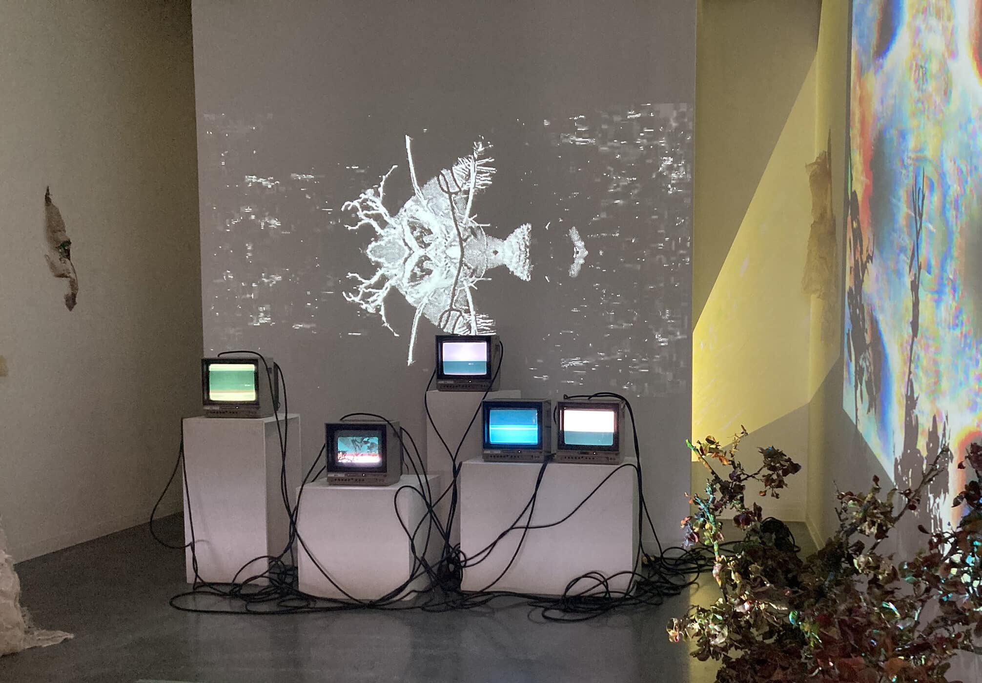 An installation with six small CRT monitors on pedestals, each displaying colorful visuals, with black-and-white abstract imagery projected on the back wall. On the right wall, a vibrant, distorted color projection spills across a branch of leaves arranged on the floor.