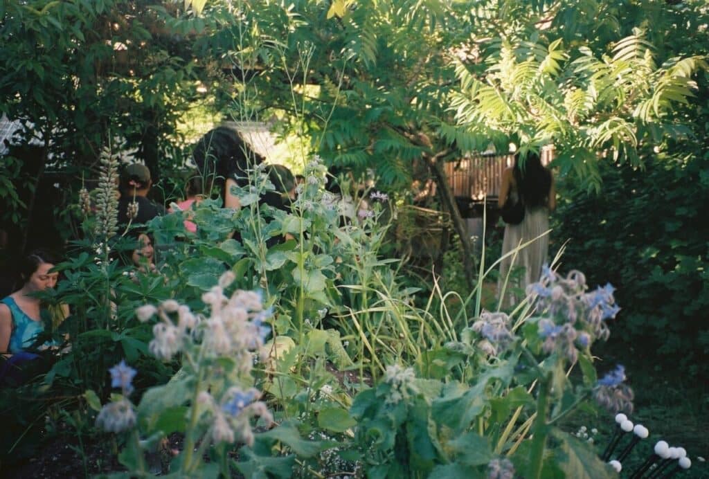 A view through flowering plants to people gathered in the shade of trees, with one person in a long dress visible in the background.