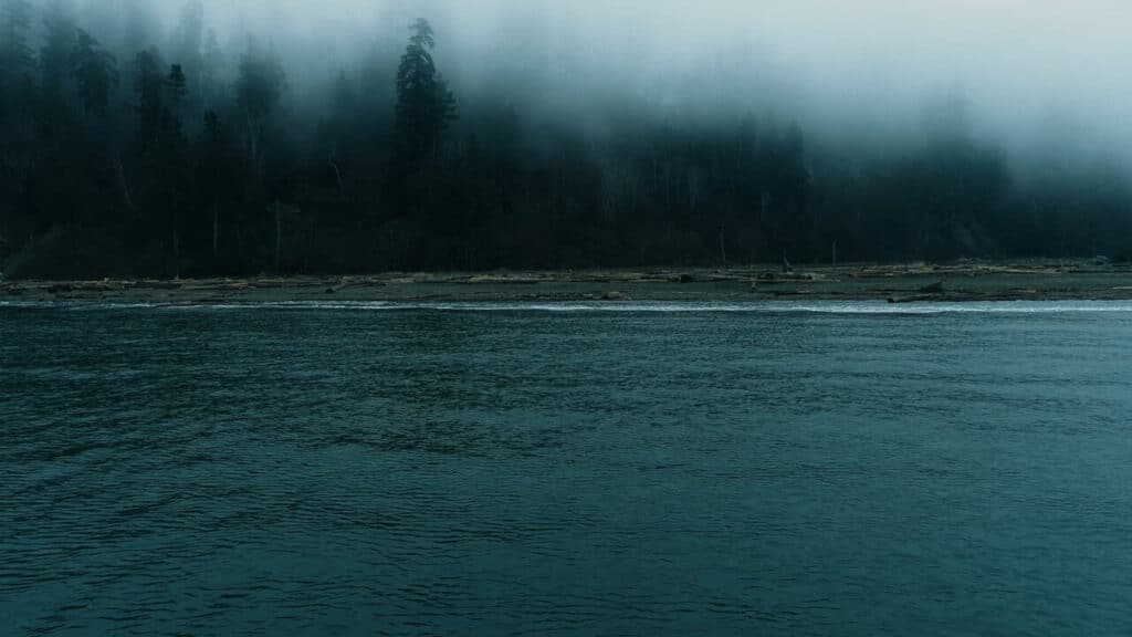 Fog drifts over a dense coastal forest, with calm blue water in the foreground.