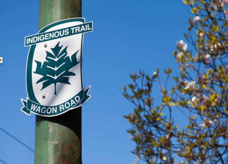 A green and white street sign reading “Indigenous Trail Wagon Road” is mounted on a pole beside blossoming branches.