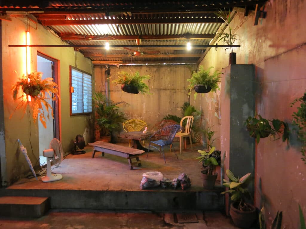 A small indoor courtyard with potted plants, hanging ferns, and mismatched chairs under warm lighting.
