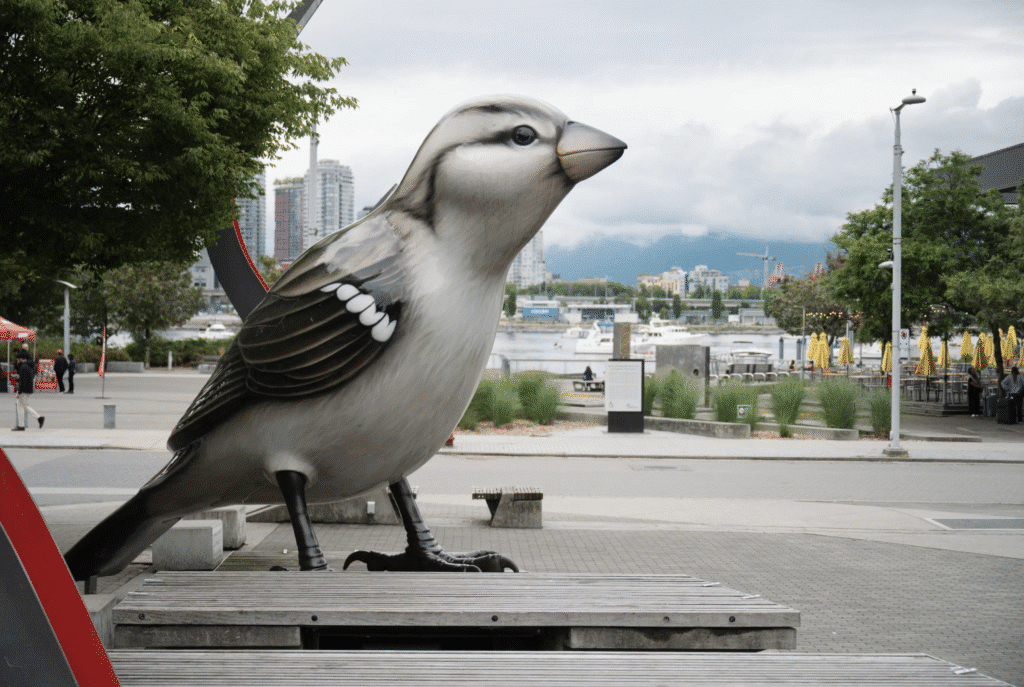 A large sculpture of a sparrow stands on the Vancouver waterfront with city buildings and mountains in the background.