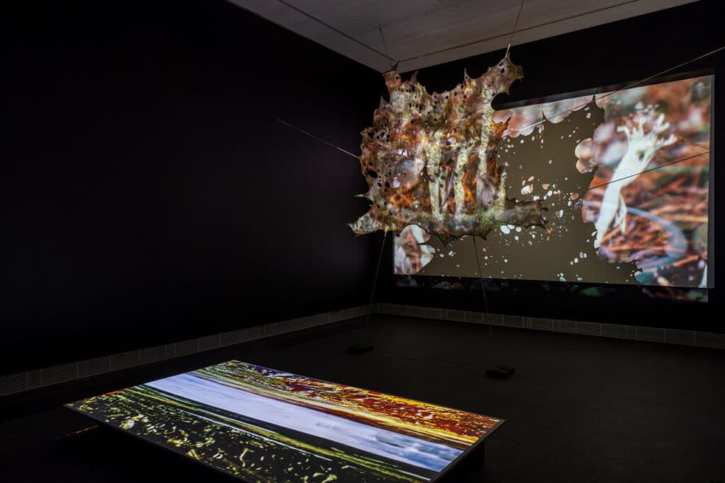 A dark gallery installation features projected moving images across a suspended organic screen and a flat surface below.