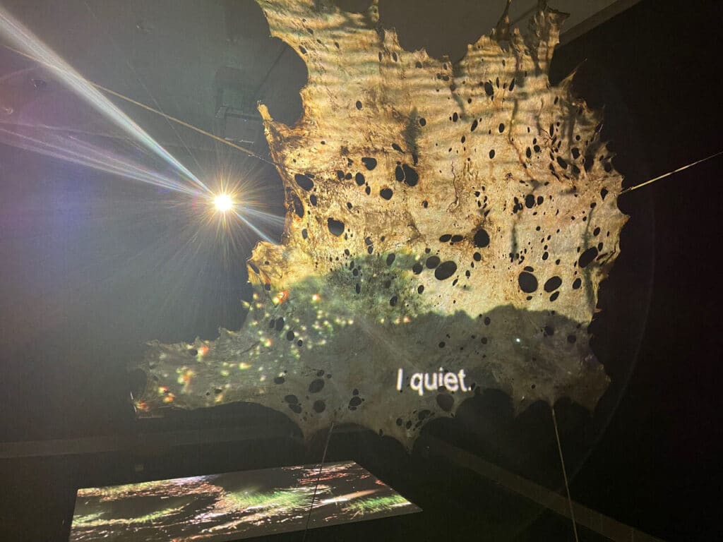 A textured translucent sheet with circular holes hangs in a dim room as light projects words and shifting imagery onto its surface.