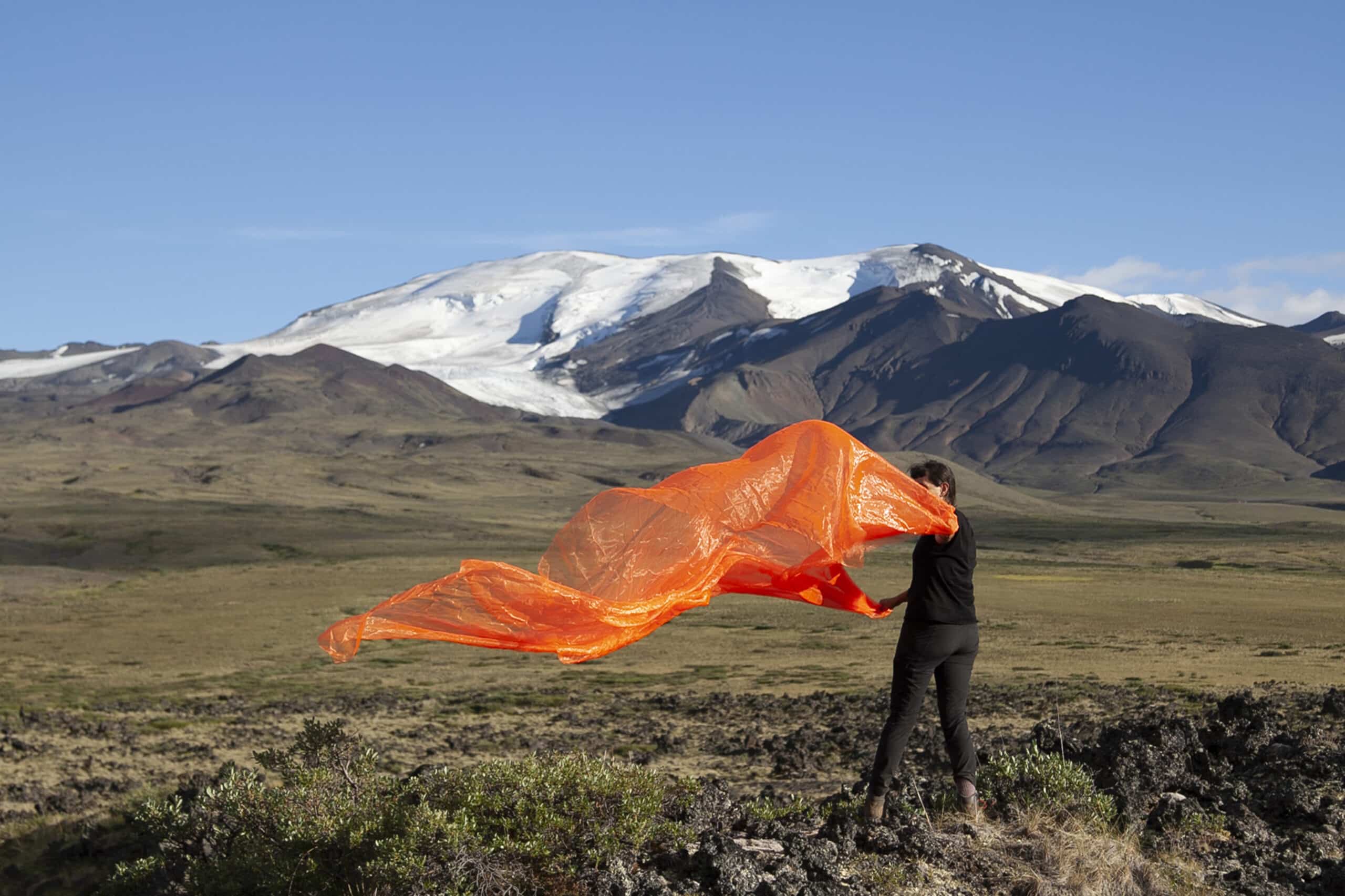 A work by ECU Alumni Tsema Igharas