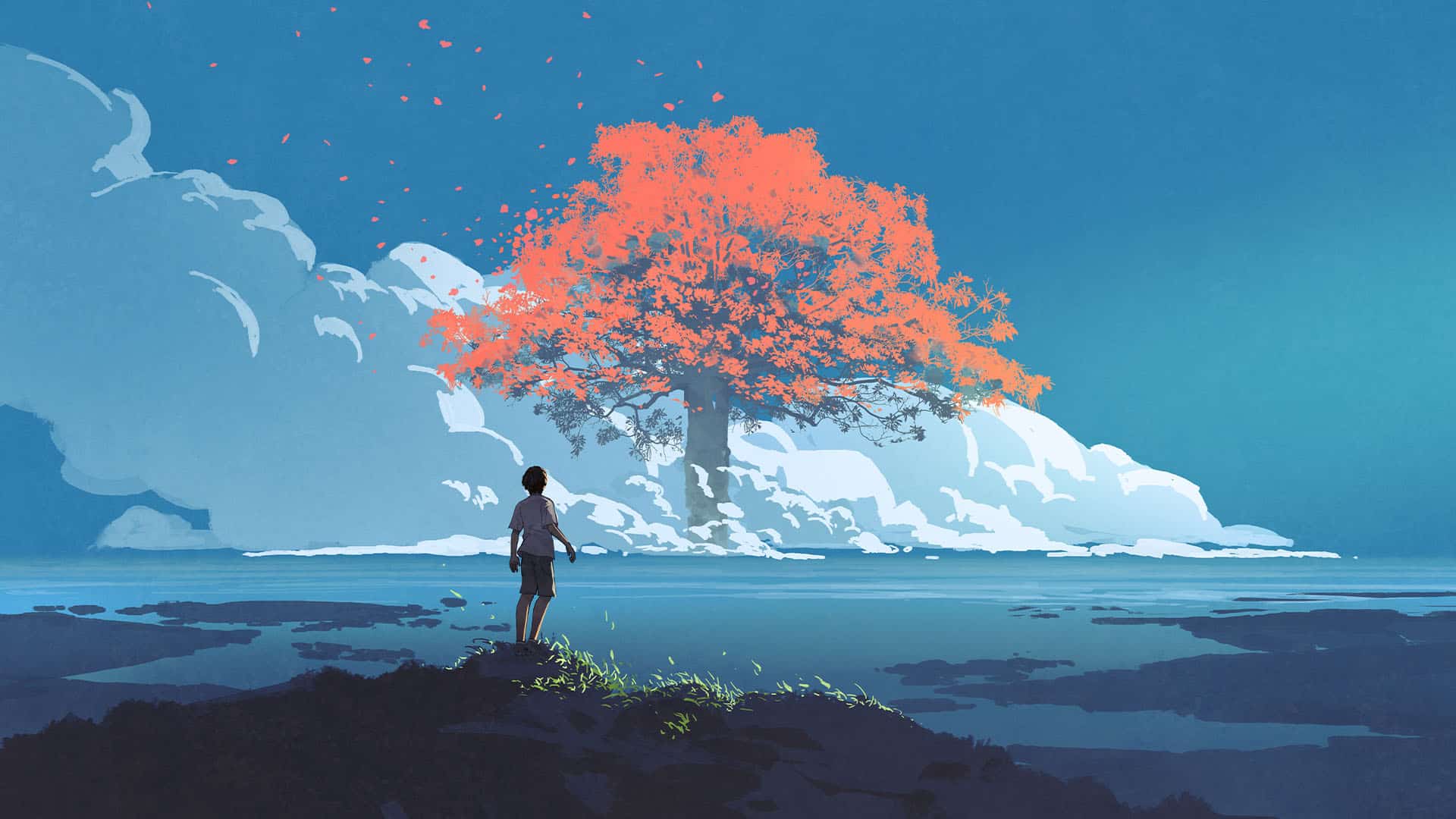 CSTA 112: Digital Animation