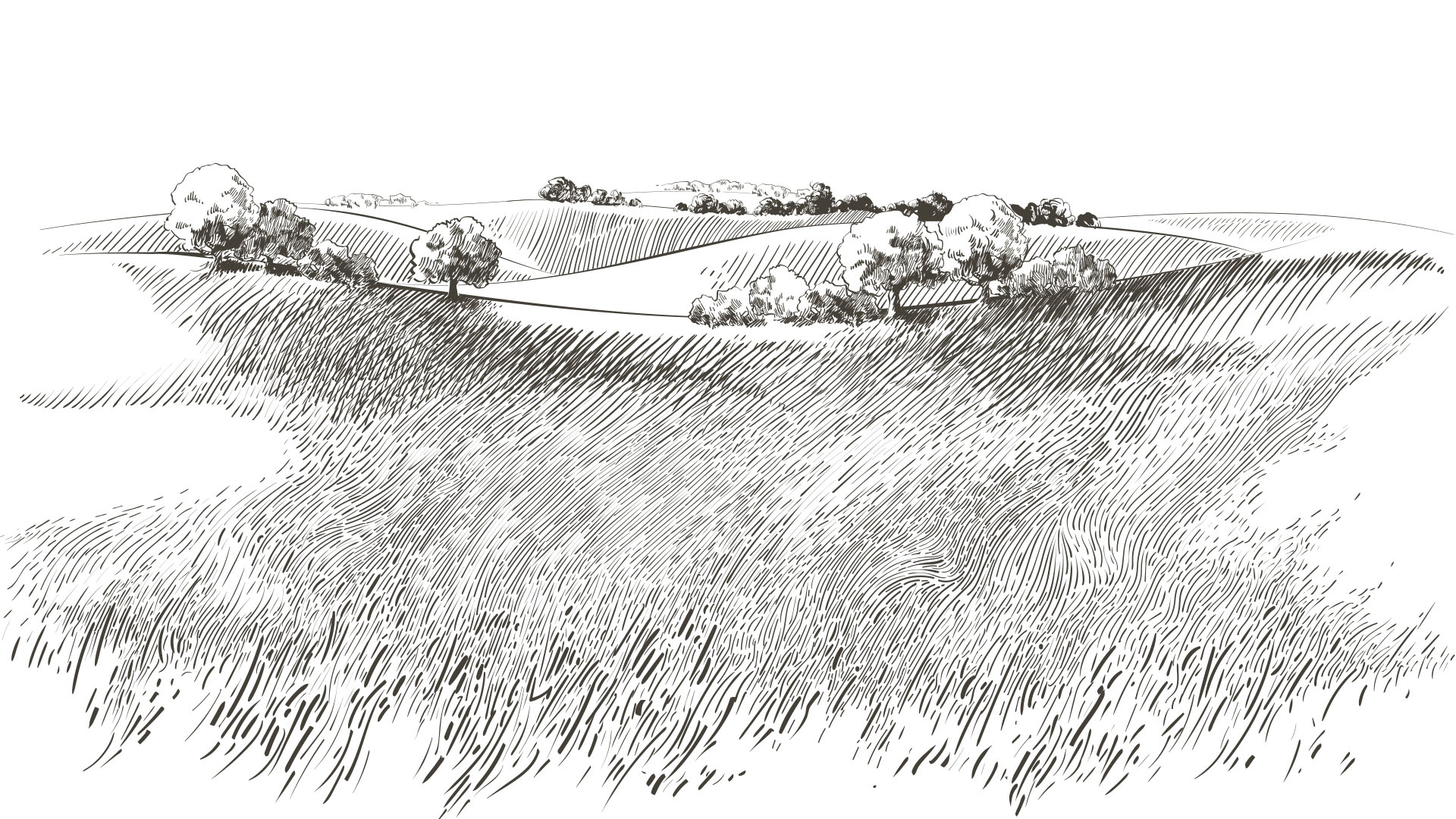 CSTA 105: Illustration