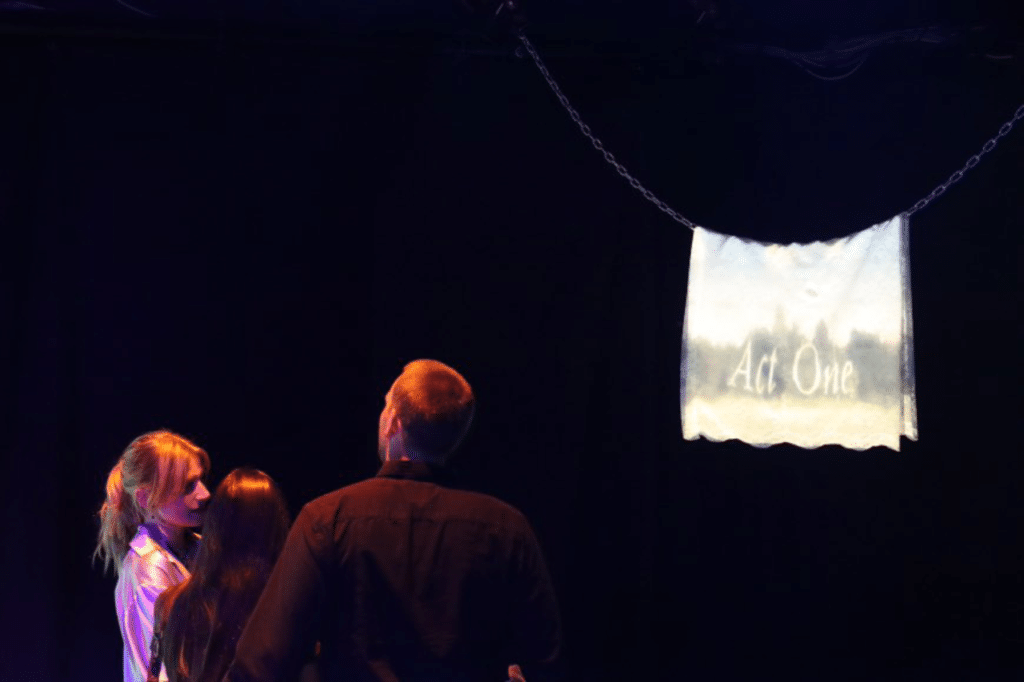 People in a darkened room view a projection of a landscape on fabric on the left side of the image.