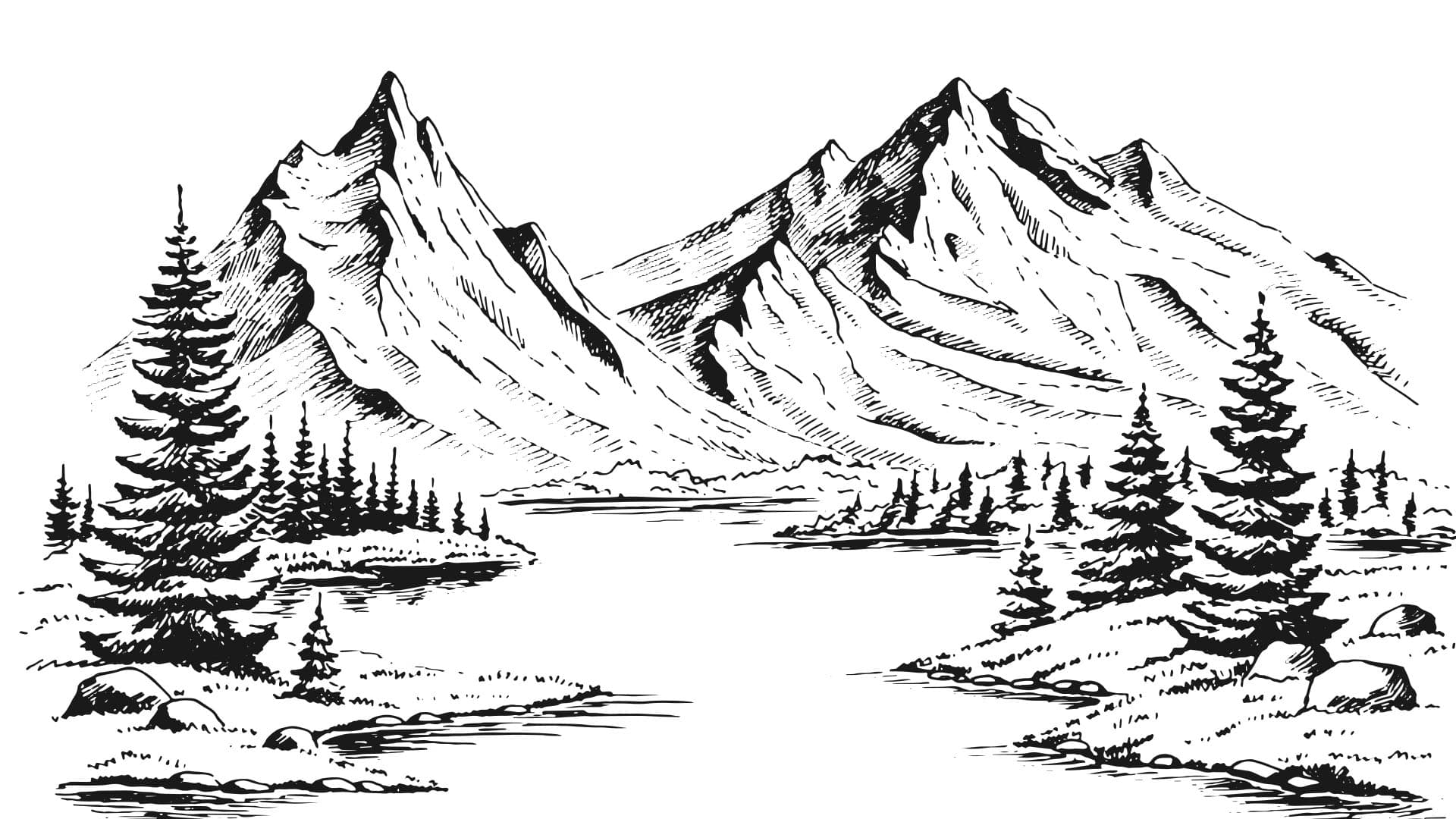 CSIL 114: Illustrating Nature