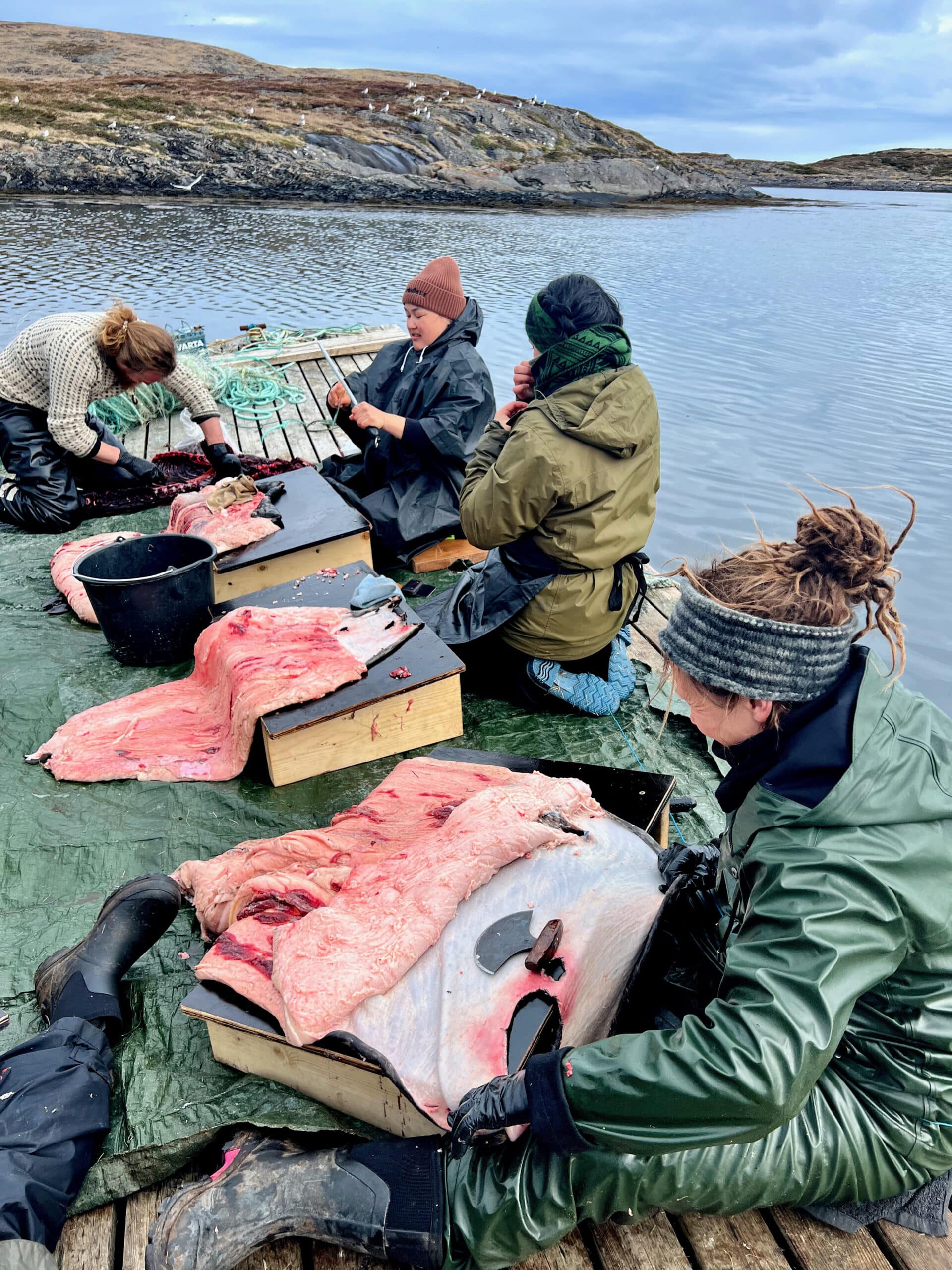 A group of people seated on a dock beside calm water, working with large pieces of animal hide laid across low tables, surrounded by tools and containers.