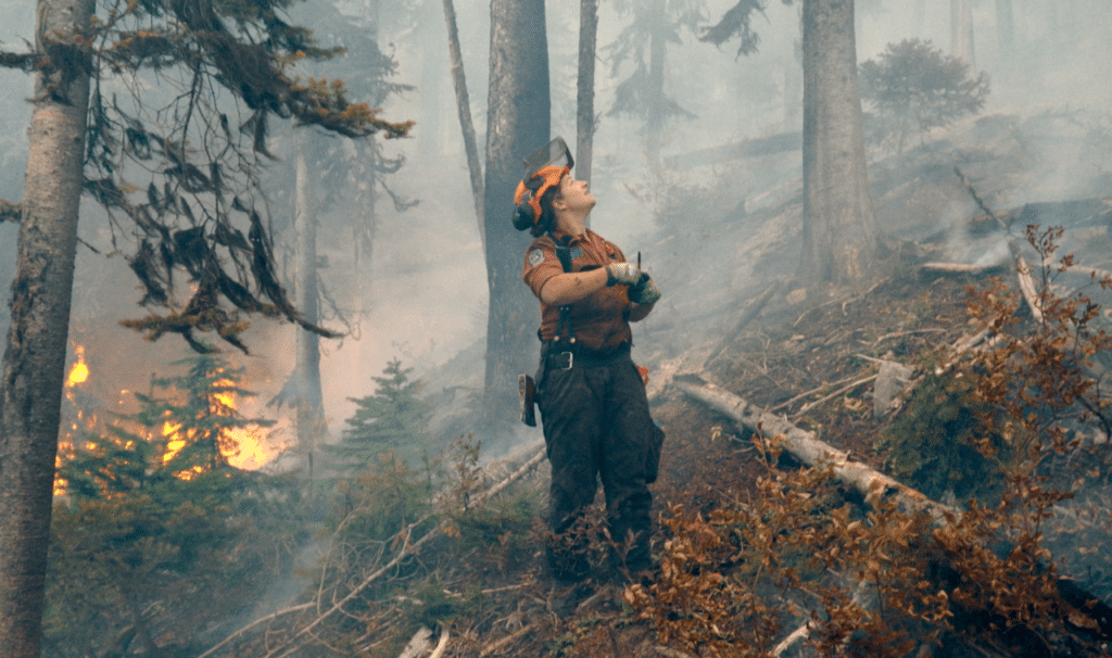 A person wearing firefighter gear stands on a rugged wooded slope amidst a haze of dense smoke while low flames burn behind low pines in the background.
