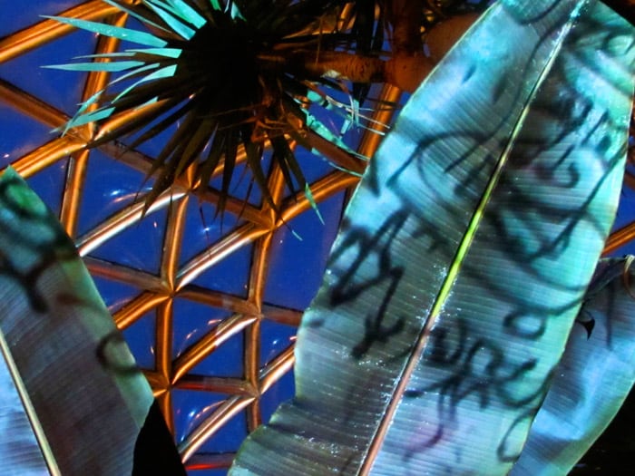 Large translucent leaves lit in blue and green fill the foreground, their surfaces marked with expressive black lettering, while a geometric glass dome and silhouetted fronds rise overhead against a deep evening sky.