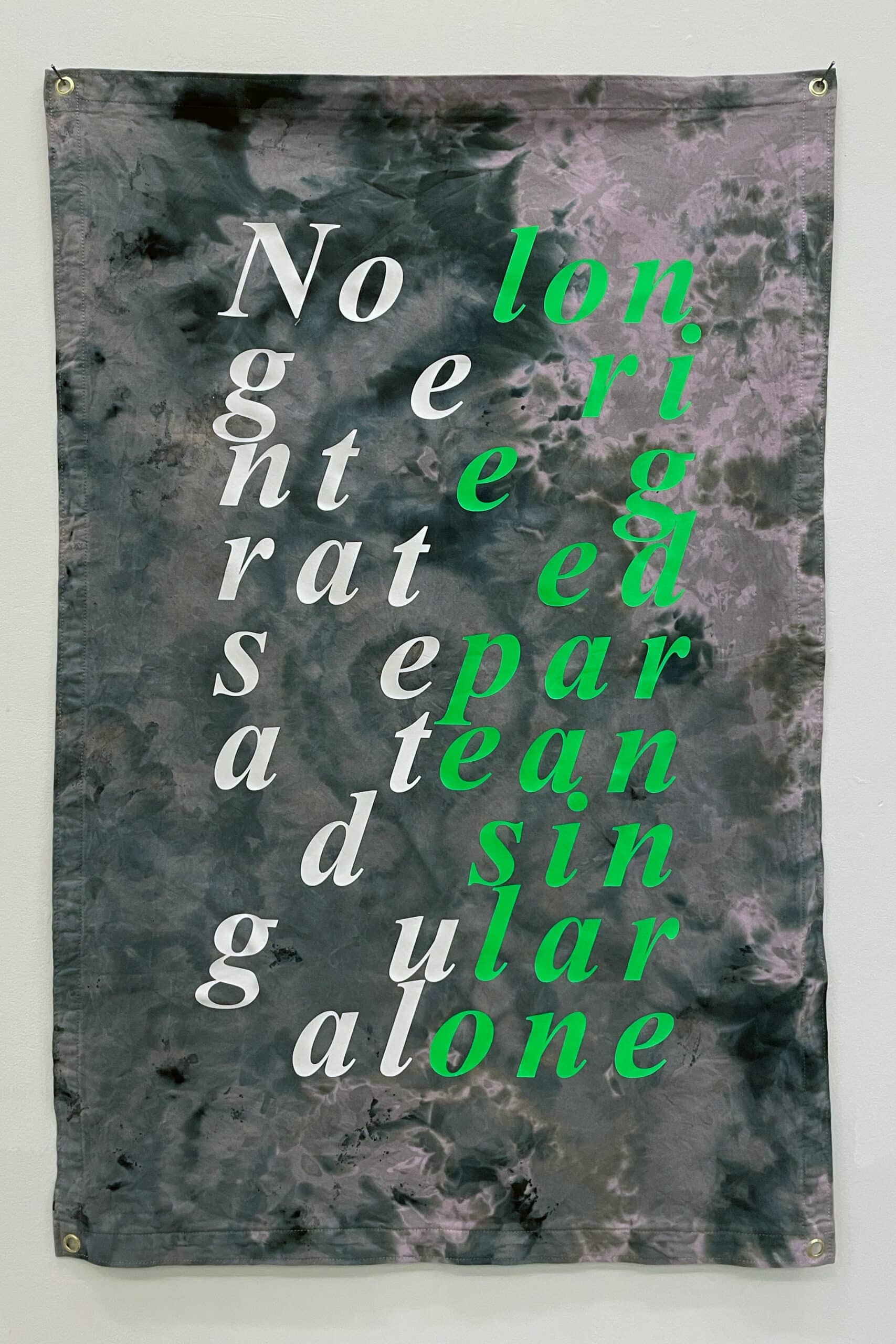 An image of a work by Raymond Boisjoly. The work is a fabring hanging with words printed on in in large green and white text.
