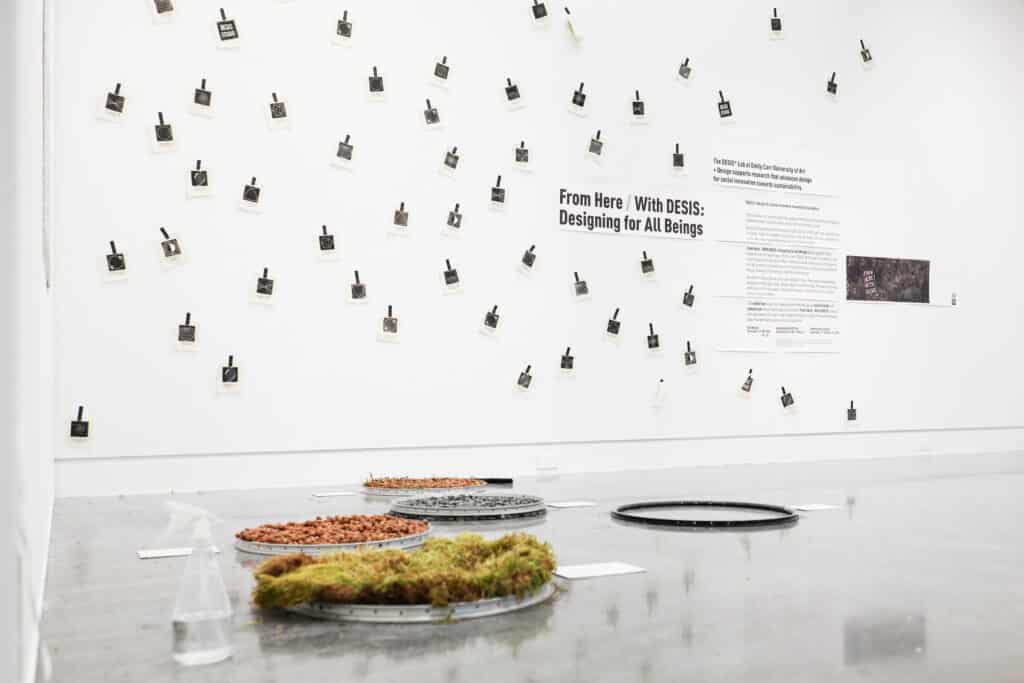 DESIS exhibition installation with small printed fabric pieces covering a white wall and circular arrangements of natural materials on the floor.