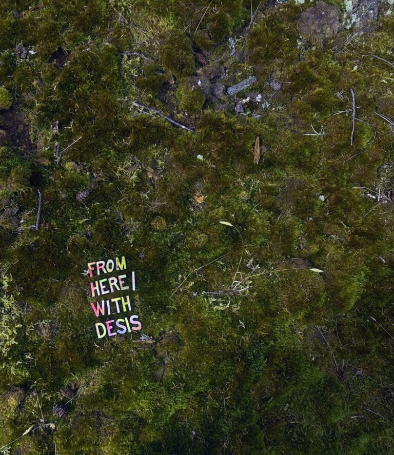From Here with DESIS: Designing for All Beings